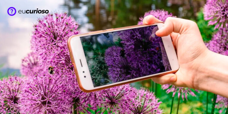 Aplicativos para Identificar Plantas pelo Celular