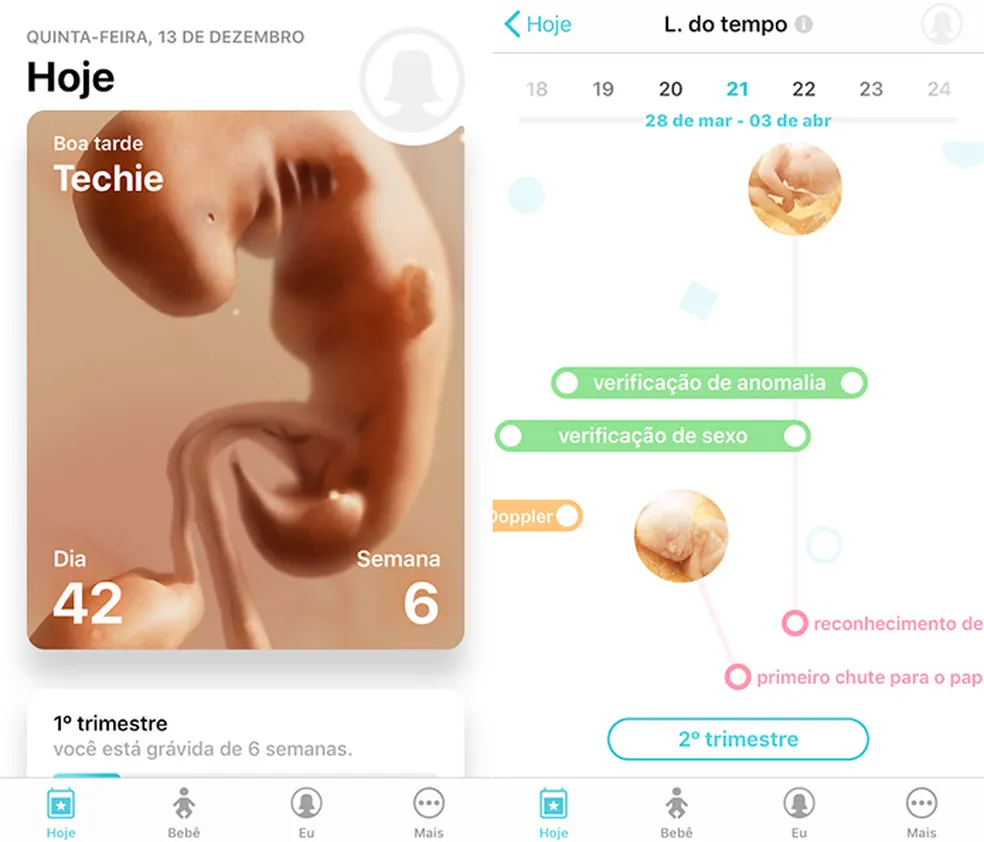 Pregnancy apps: discover the 3 best ones to track your pregnancy - Source: Reproduction